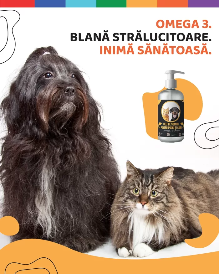 Ulei de somon pentru pisici si caini 500g - imagine 2